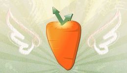 TimeCarrot