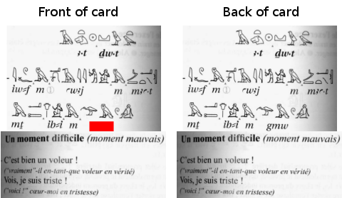 Anki card with part of transliteration hidden and shown below corresponding hieroglyphs