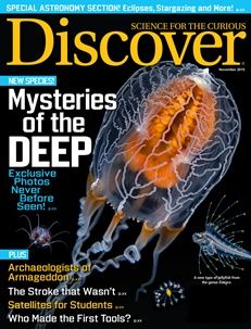 A picture of a jellyfish on the November cover of Discover