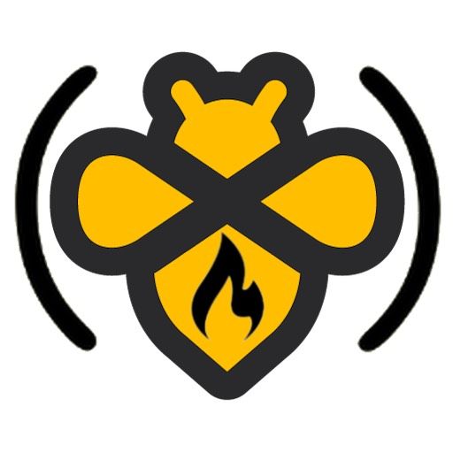 Beeminder and freeCodeCamp logo mashup