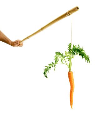 A carrot on a stick