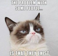 Grumpy cat: The problem with some people... is that they exist
