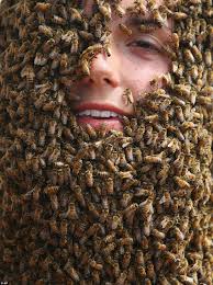 Person covered in bees