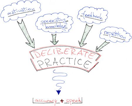 Diagram with the 4 components of deliberate practice